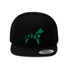 將圖片載入圖庫檢視器 OTC Flat Bill Hat
