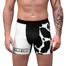 將圖片載入圖庫檢視器 HOLSTEIN Men&#39;s Boxer Briefs
